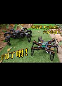 【六足更新】開(kāi)源樹(shù)莓派Python編程六足機(jī)器人功能介紹和運(yùn)動(dòng)測(cè)試（代碼開(kāi)源啦！）#機(jī)器人 #編程 