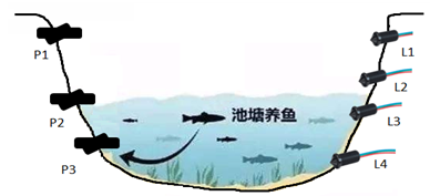 液位傳感器在人工養殖魚塘的水位控制中的應用技術方案