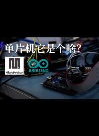 你們說的單片機它是個啥？#單片機 