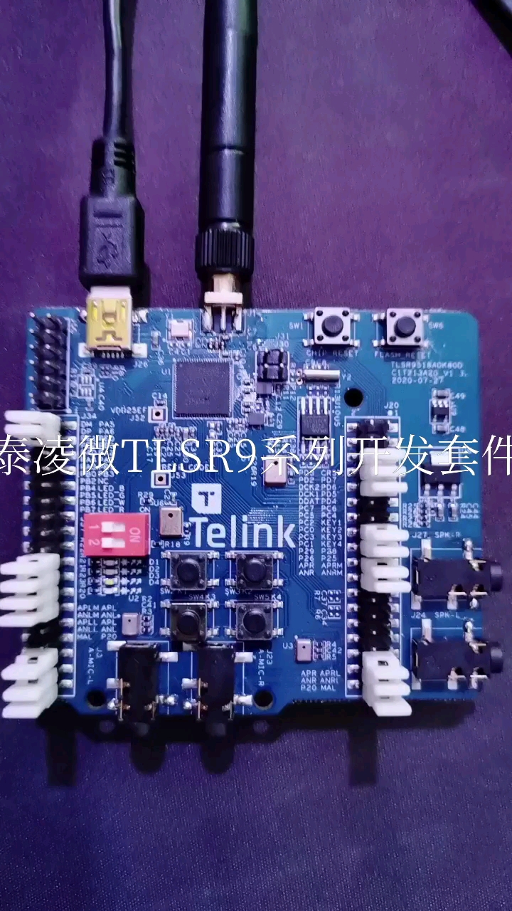 泰凌微TLSR9系列開發套件之開發板真面目#TLSR9  #藍牙5.2 