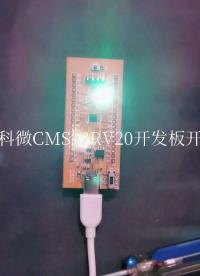 南京中科微CSM32RV20开发板点灯
