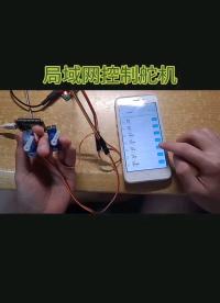 #單片機 局域網控制舵機