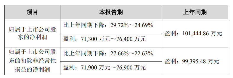 国产芯片