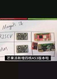 四核A53的麻雀，甚至可平替树莓zero 2W，贵在便宜！#嵌入式开发 #linux #pcb设计 #树莓派 