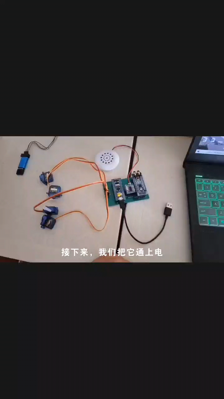 开源STM32智能语音垃圾分类系统#开源集结号  