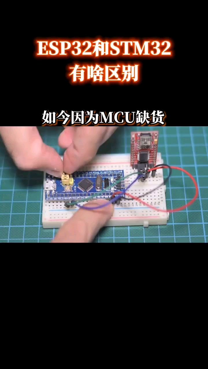 知识创作人