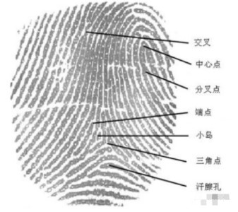 智能門鎖中的指紋識別技術簡析