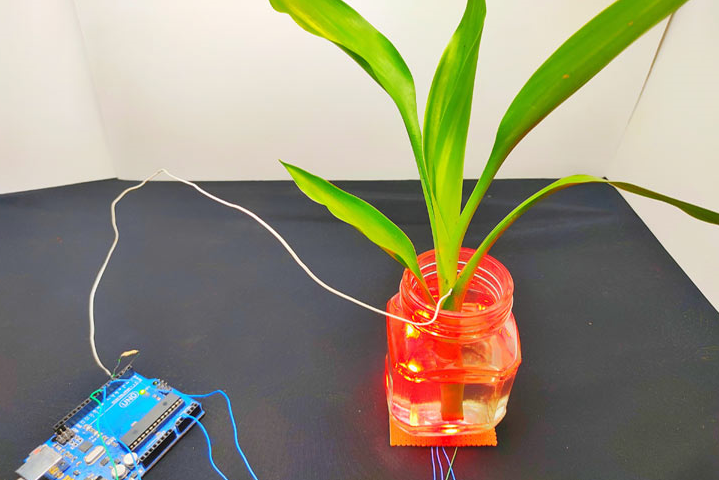 如何使用Arduino構建基于觸控的變色植物