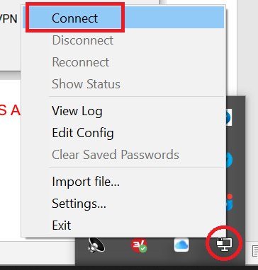 打开VPN连接启动