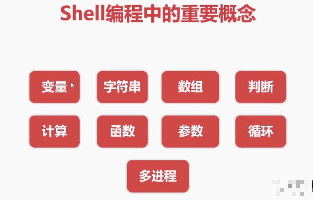 shell编程