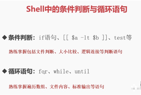 shell编程