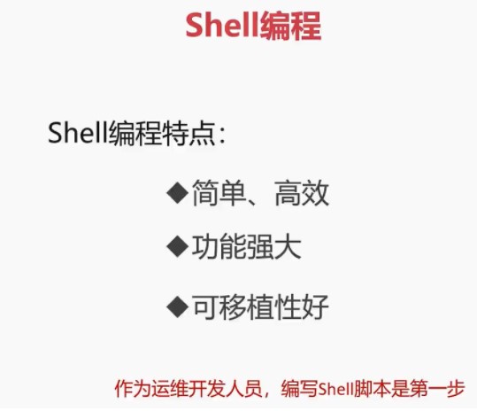 shell编程