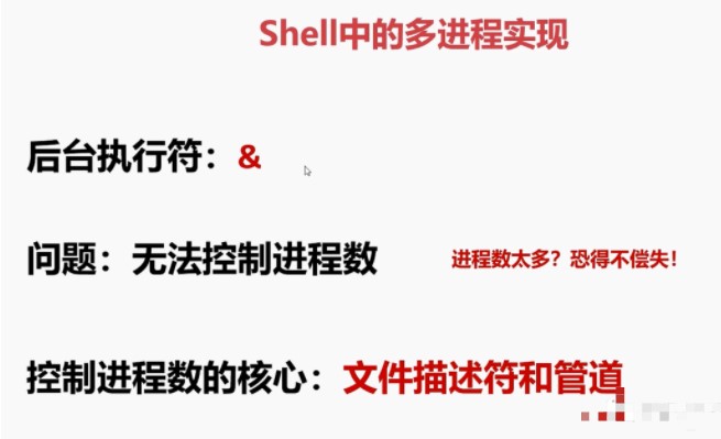 shell编程