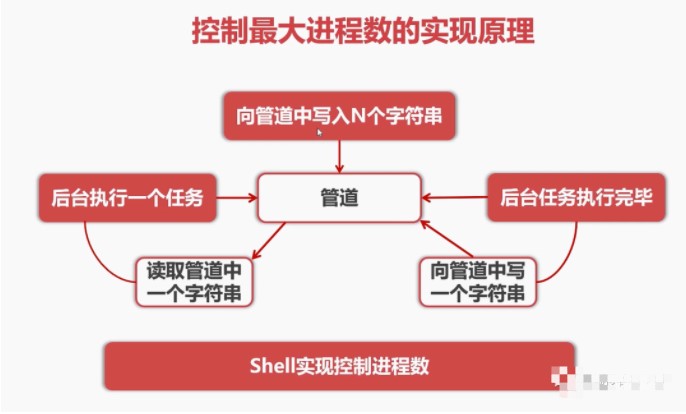 shell编程