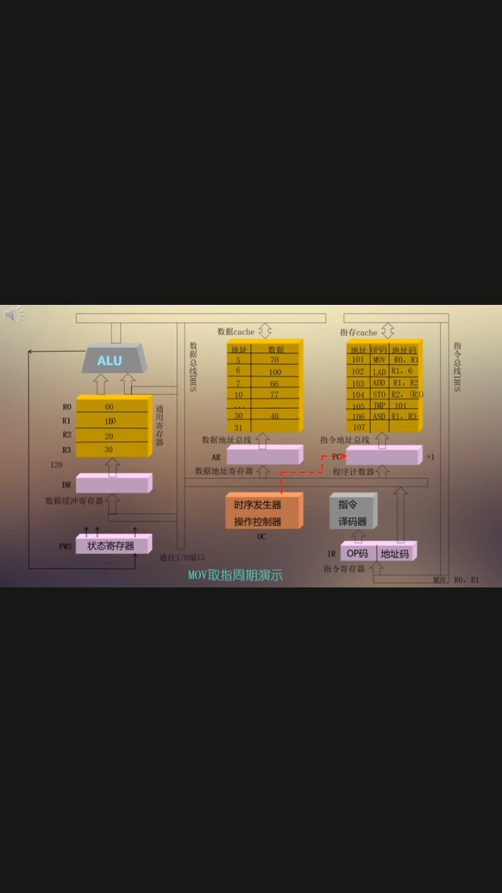 #硬声创作季 CPU mov指令工作原理