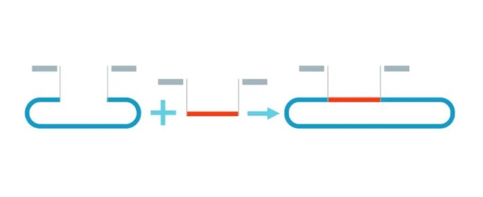 PCR