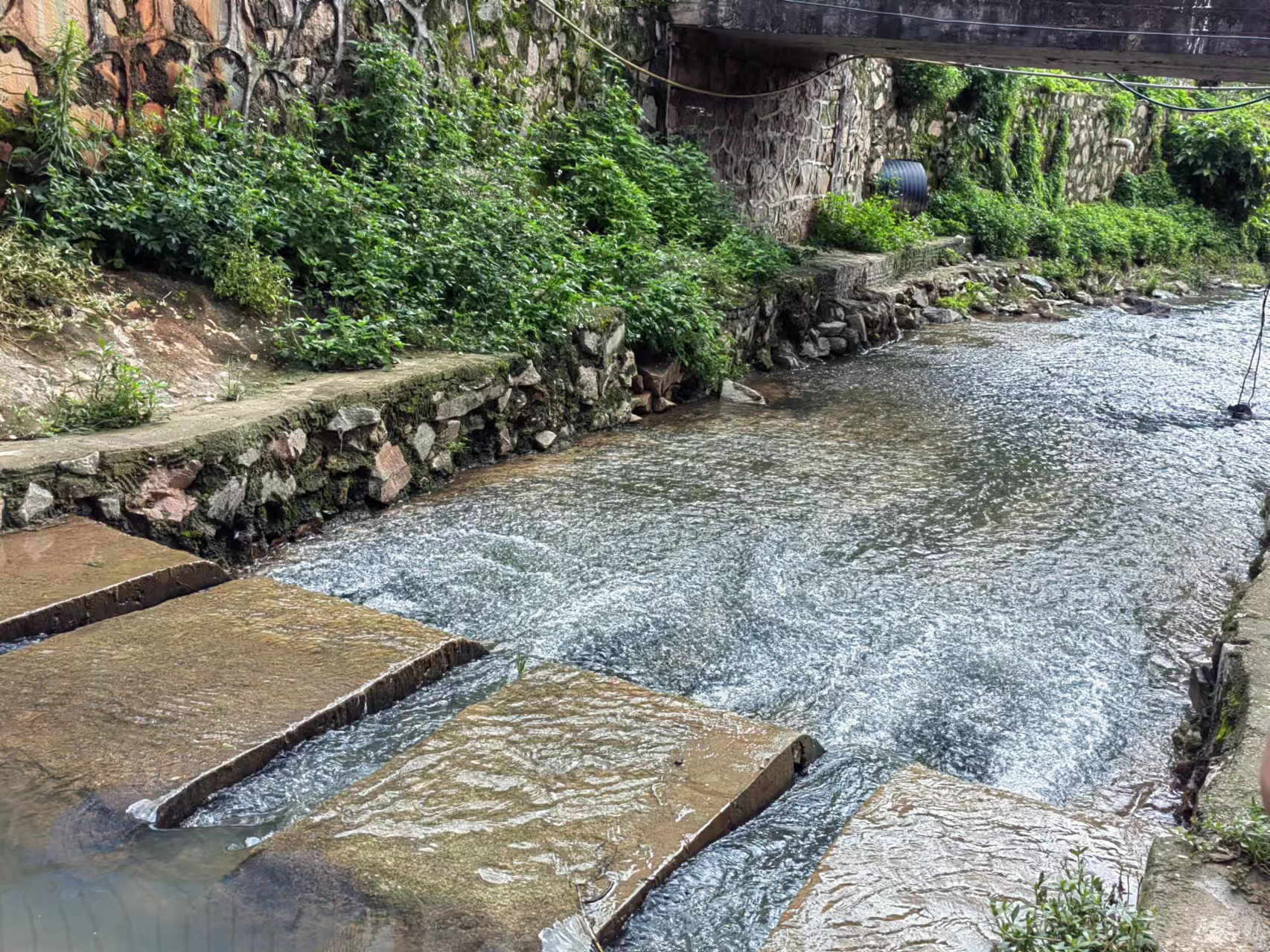 廣東省惠州河道流量、水位監測方案