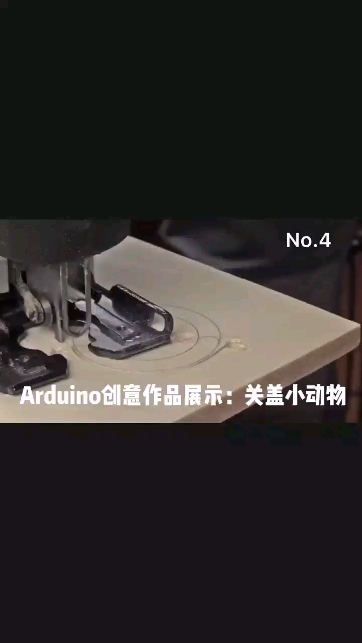 关盖小动物