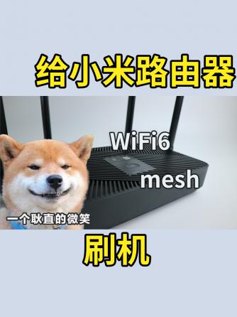 产品拆解,拆解评测,刷机,Mesh