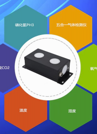糧倉(cāng)環(huán)流熏蒸多合一氣體檢測(cè)儀# CO2+O2+PH3+溫濕度五合一氣體檢測(cè)儀（參數(shù)可任意搭配）。
