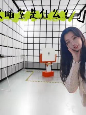 电磁兼容,emc,电磁干扰,静电,静电放电,干扰,浪涌,放电,电波