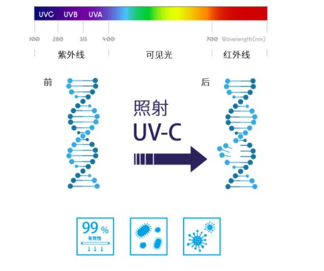 应用在紫外线空气消毒机中的UVC杀菌灯珠