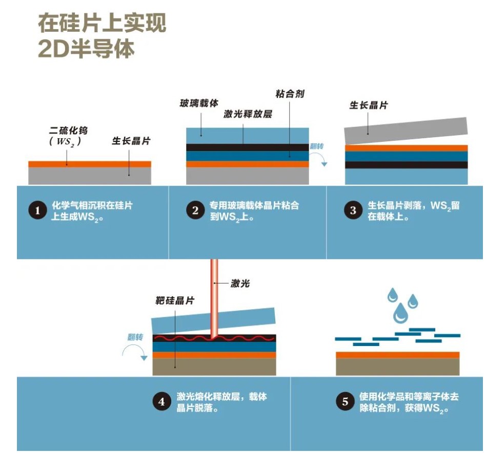 一种用于制造晶体管的单原子厚度材料