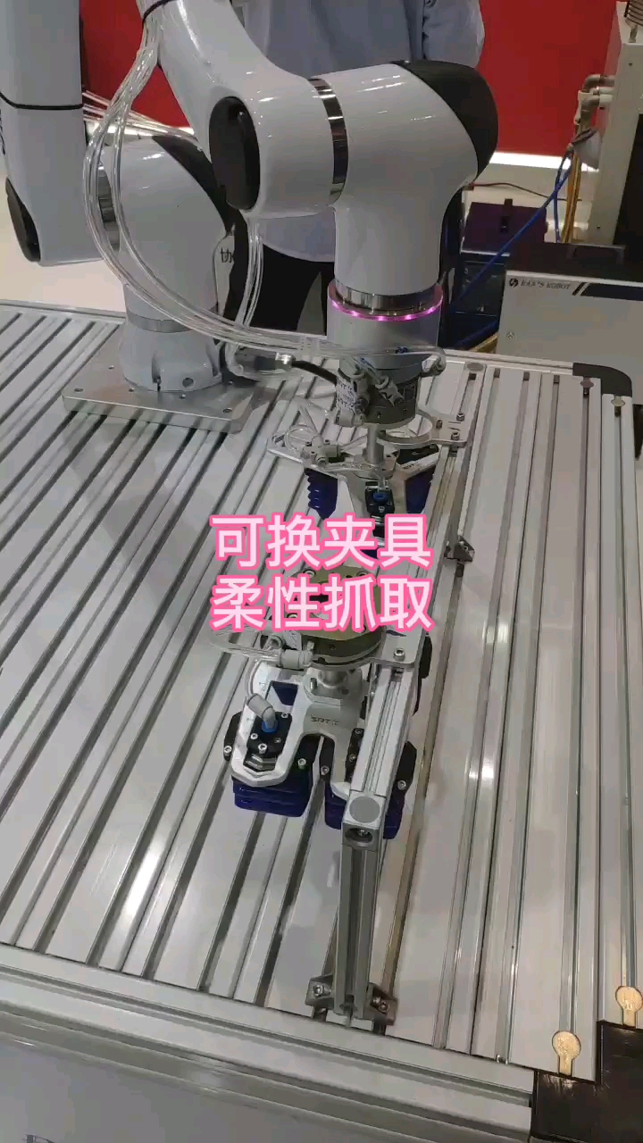 #2022慕尼黑华南电子展 柔性抓取机器人