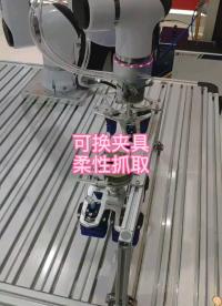 #2022慕尼黑華南電子展 柔性抓取機器人