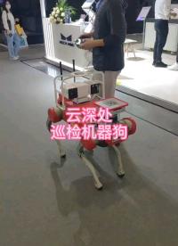 #2022慕尼黑華南電子展 巡檢機器狗