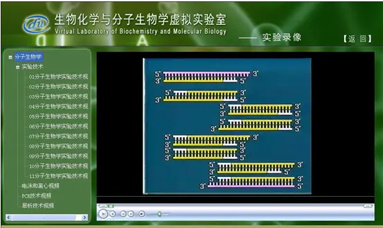 生物化學與分子虛擬實驗系統 詳情概述