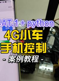 用python写的4G智能车，手机网页远程控制，硬件和源码开放# python开发板# 物联网案例# 嵌入式