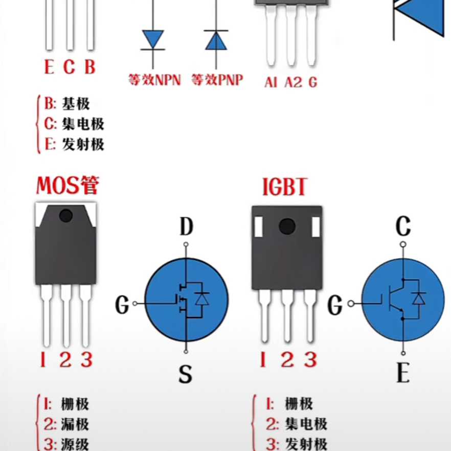 小李電子