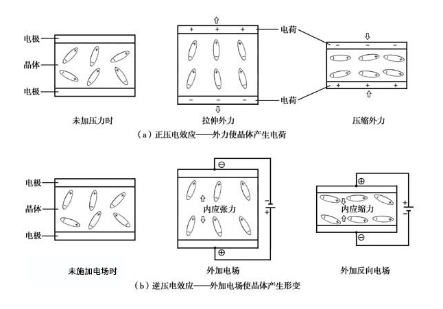 賽思晶振正式發(fā)布！一文帶你了解晶振及其工作原理與應(yīng)用