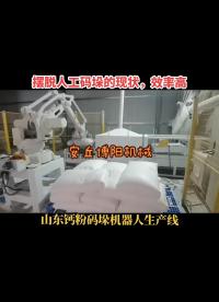     袋料碼垛機(jī)器人流程演示，鈣粉機(jī)械手碼垛生產(chǎn)線，擺脫人工碼垛的現(xiàn)狀，自動(dòng)碼垛效率高，成本低#碼垛機(jī)器人 