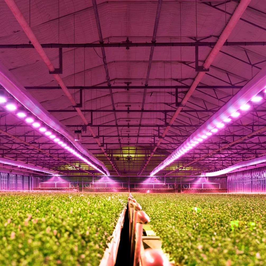 艾邁斯歐司朗與Energous攜手開發無線供電多光譜傳感解決方案，助力農業傳感應用