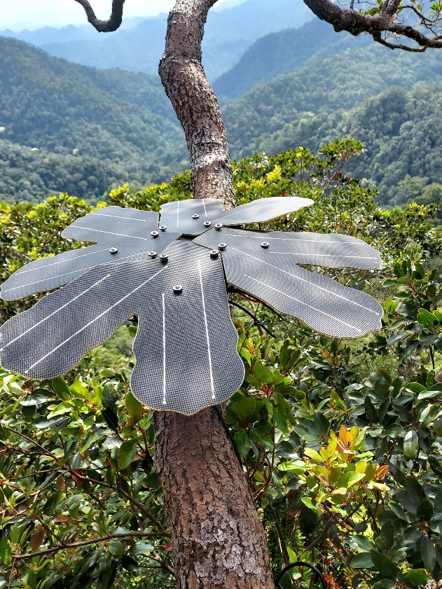 英飛凌與Rainforest Connection合作，利用先進的傳感器技術保護雨林