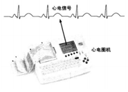 放大器的基本概念