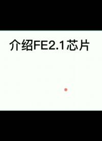 介紹FE2.1芯片