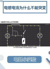 妙~終于明白電感的電流為什么不突變了！#電感 #模擬電路 #電路原理 
