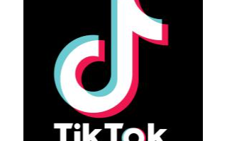 自28日起加拿大宣布政府設備禁用TikTok