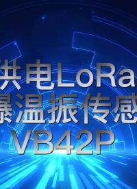 有線供電LoRa傳輸防爆溫振傳感器-VB42P產(chǎn)品介紹