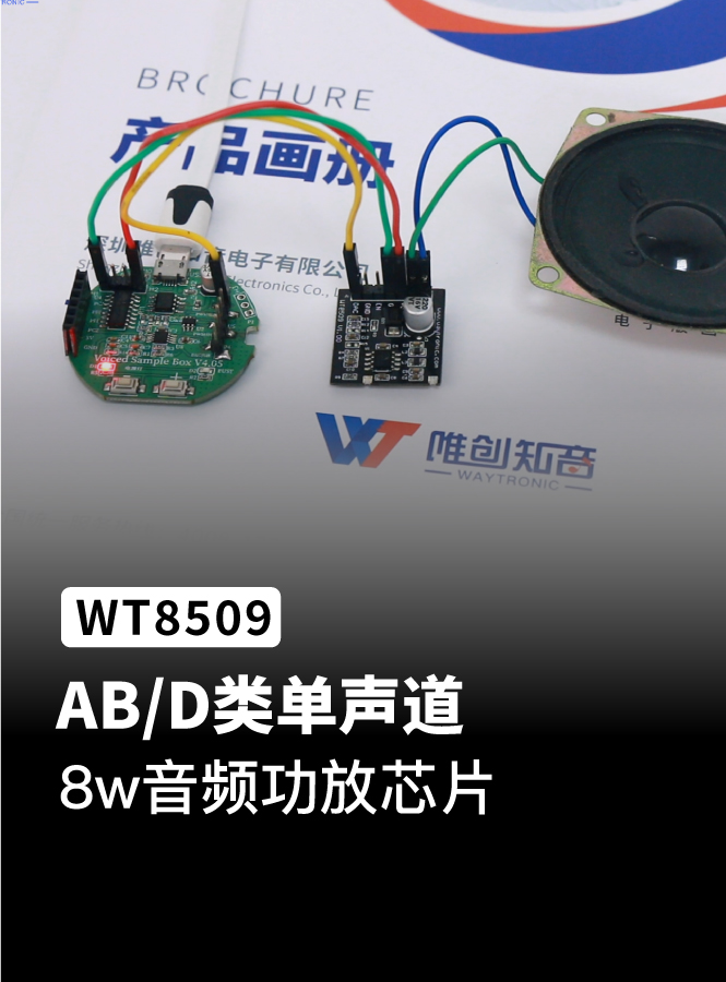 單聲道8w，AB/D類ESOP8音頻功放芯片ic，WT8509