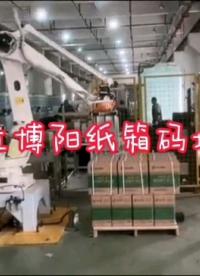 安丘博陽(yáng)紙箱碼垛機(jī)工作流程#工作原理大揭秘 #人工智能 #自動(dòng)碼垛機(jī) #機(jī)械制造 