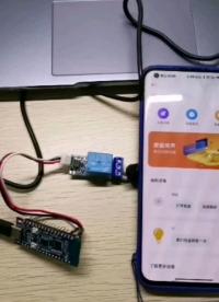 兑换的ESP32C3完成小爱同学联动MQTT通信的继电器模块
#物联网 #ESP32 