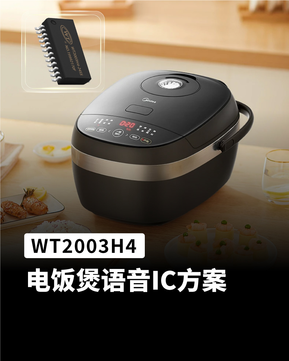 WT2003H驱动显示语音功能 可应用电饭煲语音ic方案上