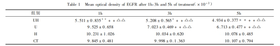 射频功率放大器在<b class='flag-5'>肿瘤</b><b class='flag-5'>细胞</b>表面EGFR<b class='flag-5'>研究</b>中的应用