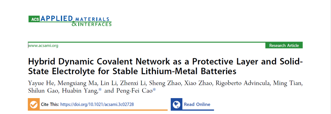 杂化动态共价网络用作锂金属电池保护层和固态电解质