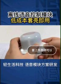  低成本離線語音模塊，套殼即用#物聯網 #語音模塊 #語音識別 
