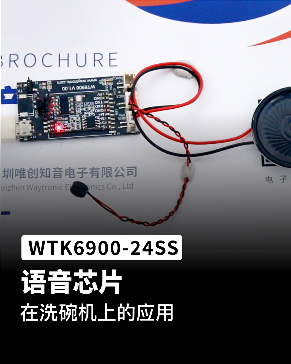 WTK6900G-24SS-M为本地语音触发引擎的辨识芯片，具有低成本、高可靠性、通用性强的特点。